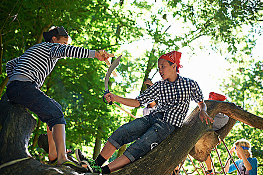孩子,男孩,衣服,海盗,玩,树上