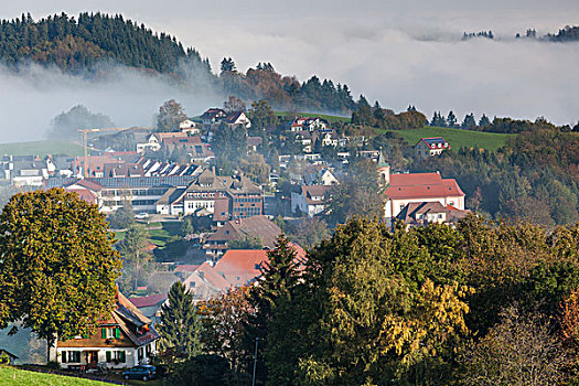 德国,黑森林,城镇景色,晨雾,秋天