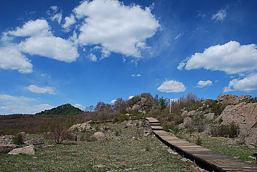 蓝天下的百花山