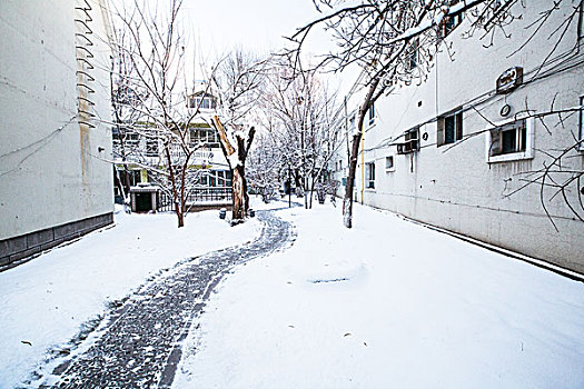 小区雪景