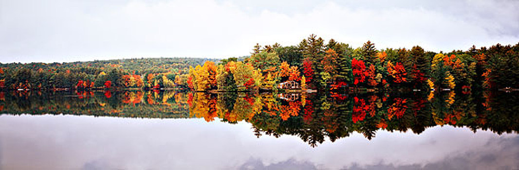 美国,马萨诸塞,秋日树林,小屋,反射,湖,大幅,尺寸