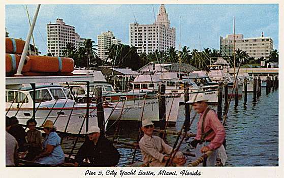 码头,城市,游艇,盆地,迈阿密,佛罗里达,美国,艺术家,未知