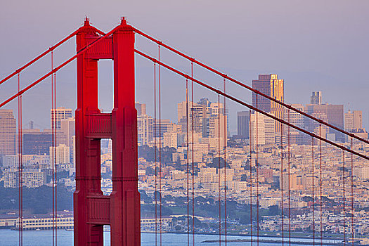 吊桥,城市,背景,金门大桥,旧金山湾,旧金山,加利福尼亚,美国