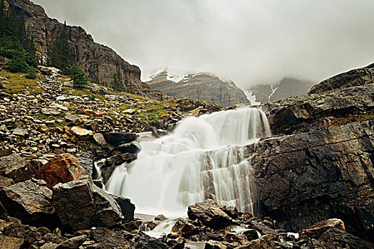 幽鹤国家公园,风景,山,瀑布,树林,加拿大