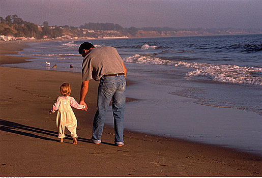 后视图,父子,走,海滩