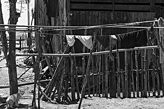 木篱,洗衣服,林卡岛,科莫多,印度尼西亚,联合国教科文组织,世界遗产