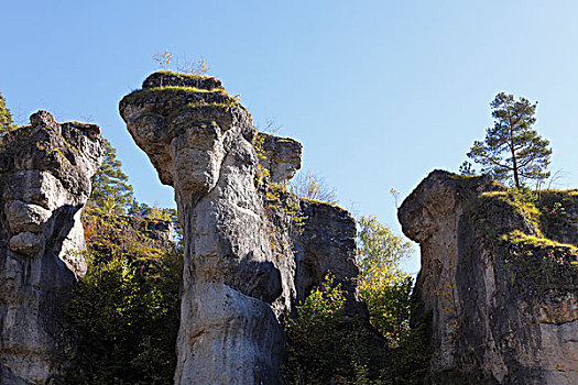 石头,靠近,弗兰哥尼阶,瑞士,上弗兰科尼亚,弗兰克尼亚,巴伐利亚,德国,欧洲