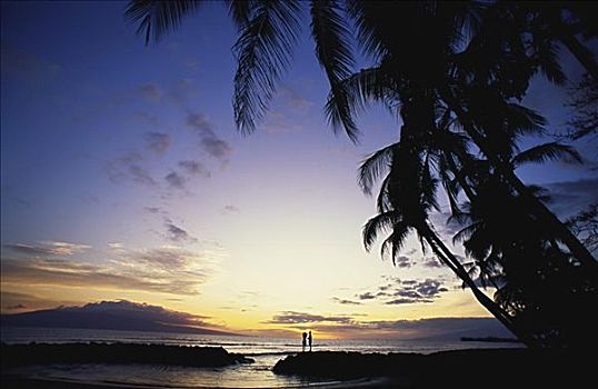 夏威夷,毛伊岛,公园,剪影,伴侣,日落,棕榈树