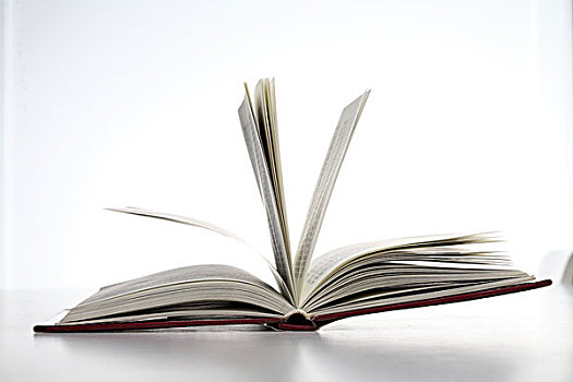 书本日记,锁,花园女青年,读,书本文具一本,翻开,的书放在书本上的果实