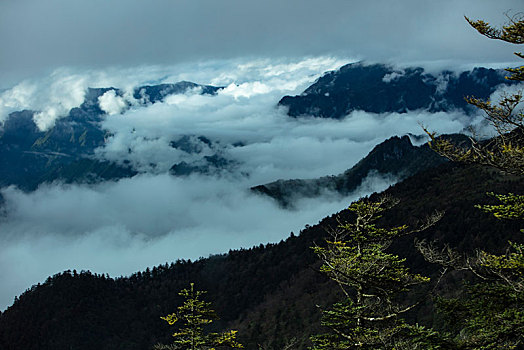 神农架,神农顶,风景,景点,旅游,高山,瀑布,河流,神秘,树木,植被,石头,鄂西,云海,峡谷,壮观