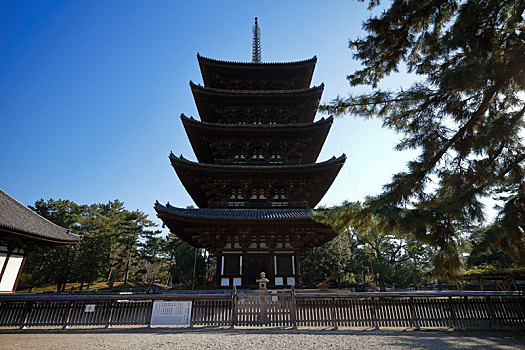 日本奈良兴福寺