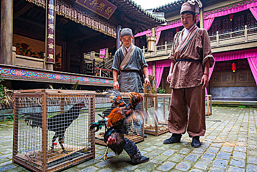 怡红院,妓院,老房子,斗鸡