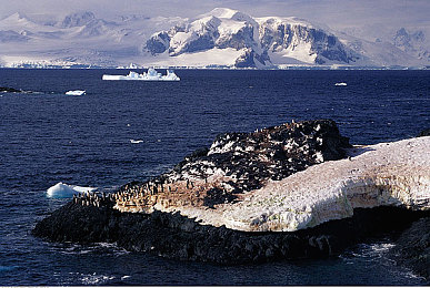 南极半岛图片