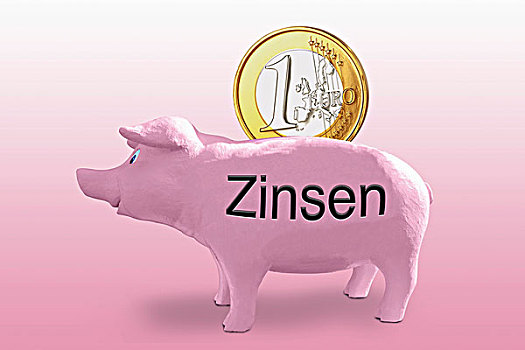 大,1欧元硬币,粉色,存钱罐,标签,德国,利率,象征