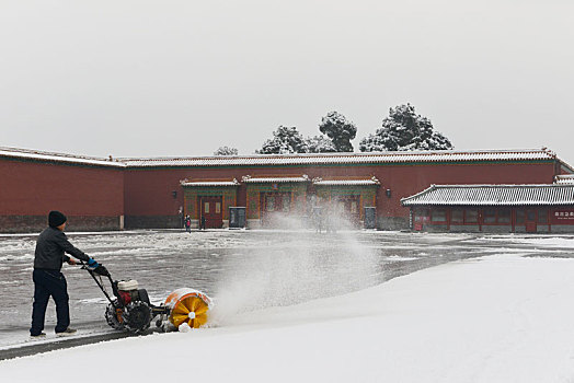 雪中清雪