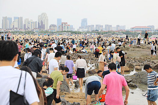 山东省日照市,太壮观,上万游客太公岛赶海收获满满