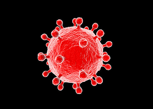 新型冠状病毒模型
