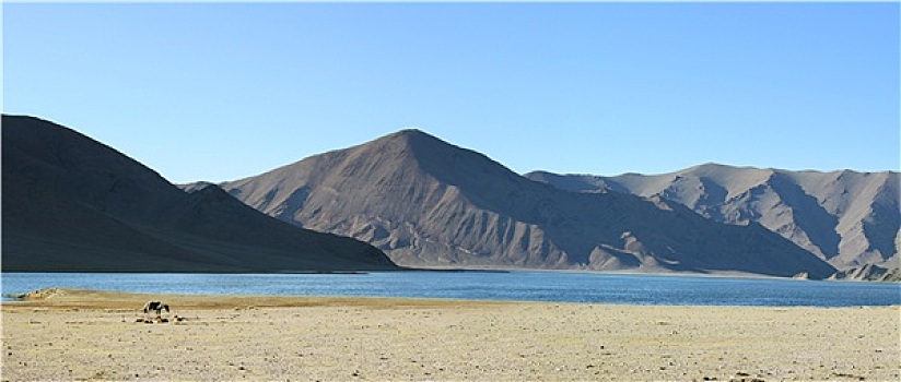 蒙古,风景