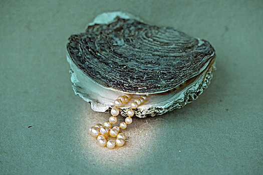 牡蛎,珍珠项链