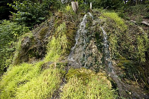 水,瀑布,沙夫豪森,瑞士,欧洲