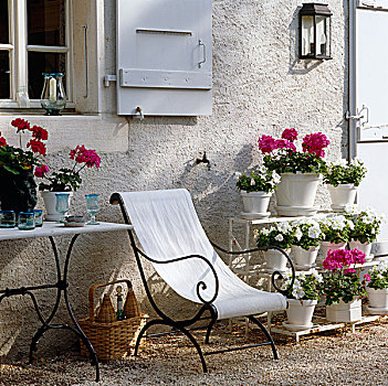 熟铁,花园椅,帆布,座椅,围绕,花,盆栽