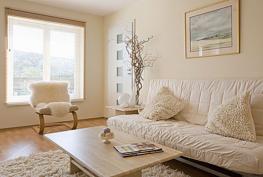 木质,茶几,正面,软垫,沙发,现代,起居室