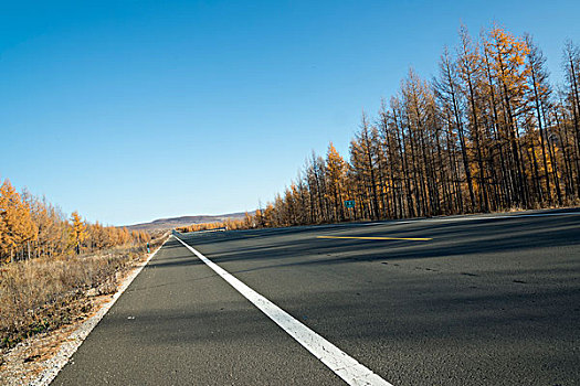 森林公路