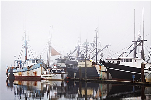 渔船,港口,雾