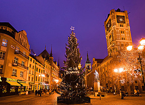 圣诞树,市场,夜景,波兰,欧洲
