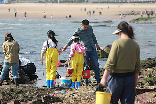 太公岛落大潮,市民登岛赶海拾贝收获多多