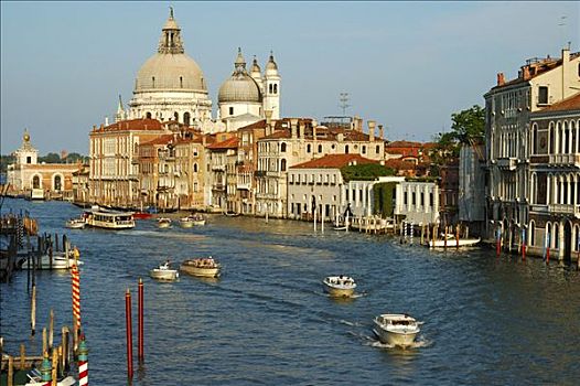 大运河,大教堂,行礼,威尼斯,意大利