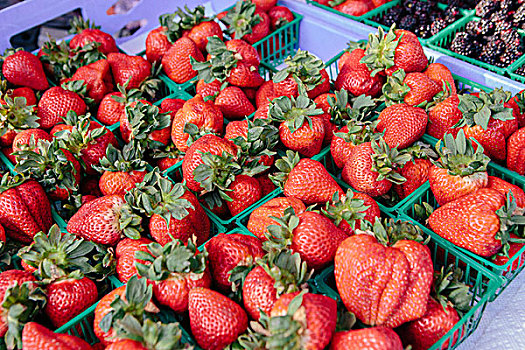 新鲜,草莓,市场