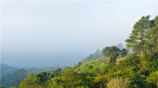 视点,山,清迈省,泰国