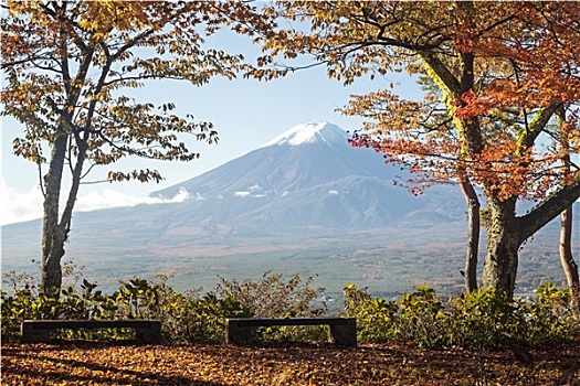 山,富士山,秋色,日本