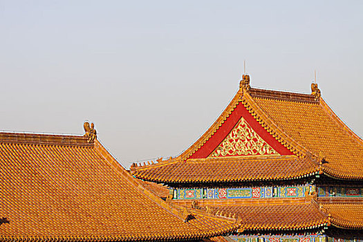 故宫的屋顶