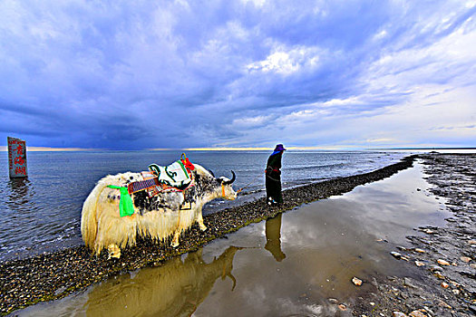 青海湖