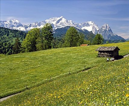 远足者,走,小路,靠近,加米施帕藤基兴,阿尔卑斯峰,上巴伐利亚,巴伐利亚,德国