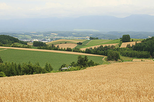 乡村风光,远景