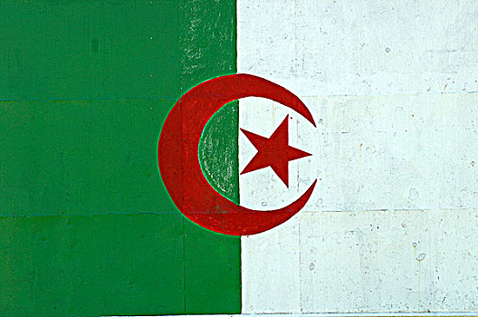 阿尔及利亚,阿尔及尔,旗帜
