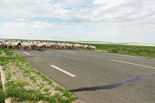 汽车道路及环境背景类