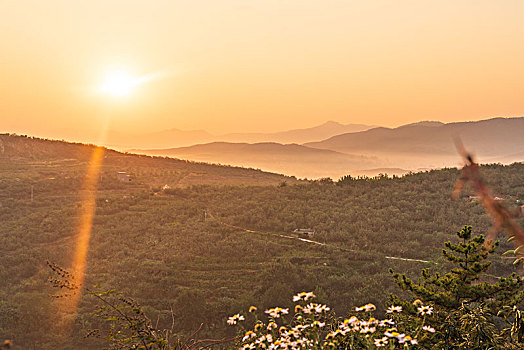 山东沂蒙山区的山村果园