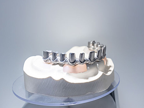 口腔牙科假牙模型展示