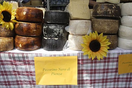 羊乳干酪,轮子,奶酪,乳酪店,市场,皮恩扎,托斯卡纳,意大利,欧洲