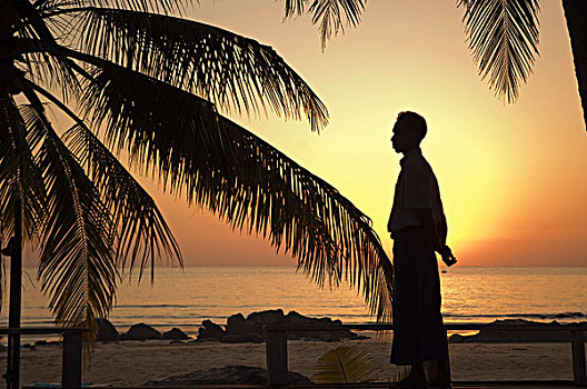 缅甸,正面,日落,棕榈海滩,那布利海滩,海岸,孟加拉海湾,亚洲
