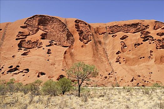 特写,纹理,乌卢鲁巨石,艾尔斯巨石,卡塔曲塔国家公园,北领地州,澳大利亚