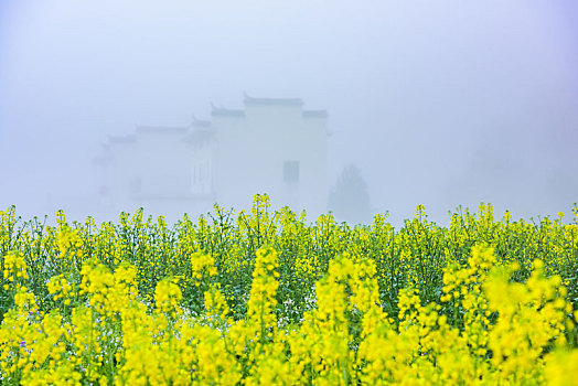 田园风光