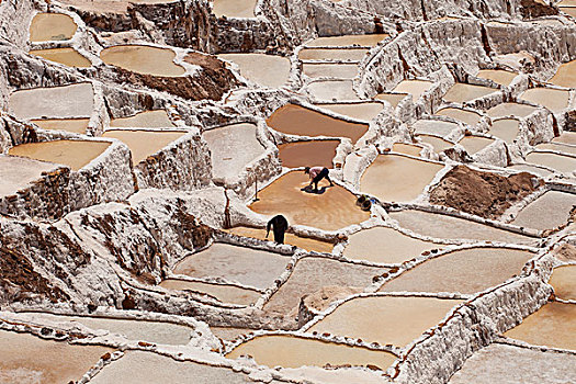 盐,春天,矿,第一,印加,乌鲁班巴河谷,靠近,库斯科市,秘鲁