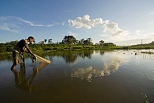 渔民,抓住,鱼,渔网,湿地,乡村,孟加拉,六月,2007年