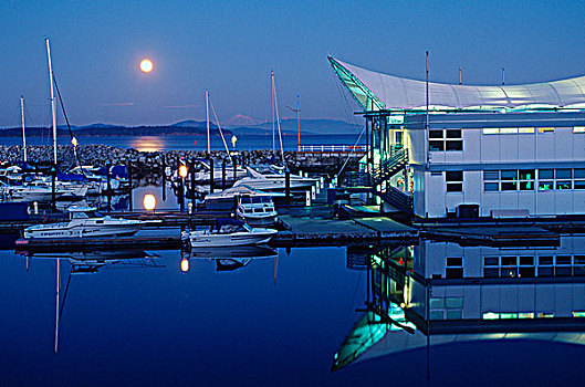 港口,码头,黄昏,温哥华岛,不列颠哥伦比亚省,加拿大
