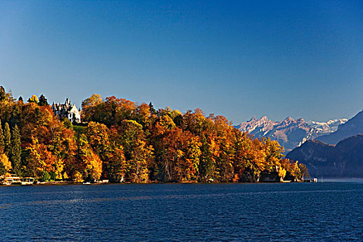 琉森湖,秋色,瑞士